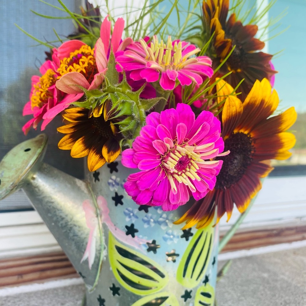 Meet your Posher, Cathy